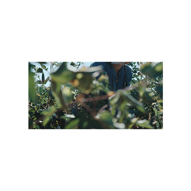 Photo fundraiser, limited edition print 1 of 3, series # 4