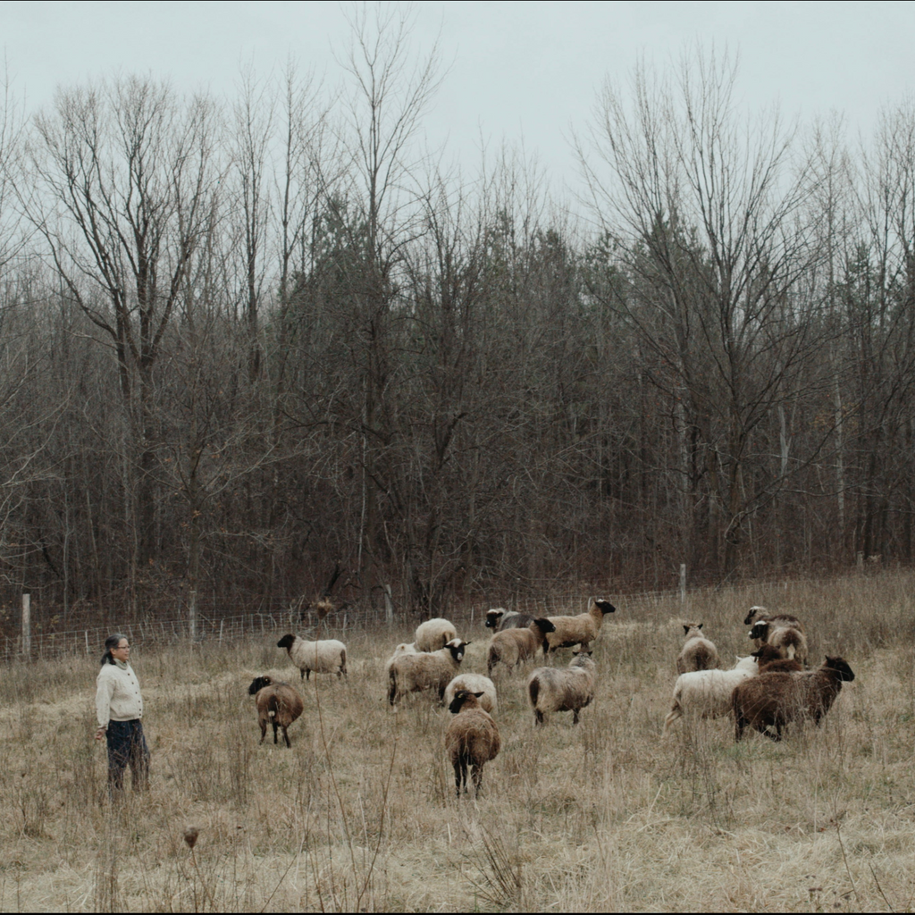 A Short Film About Black Sheep Farm