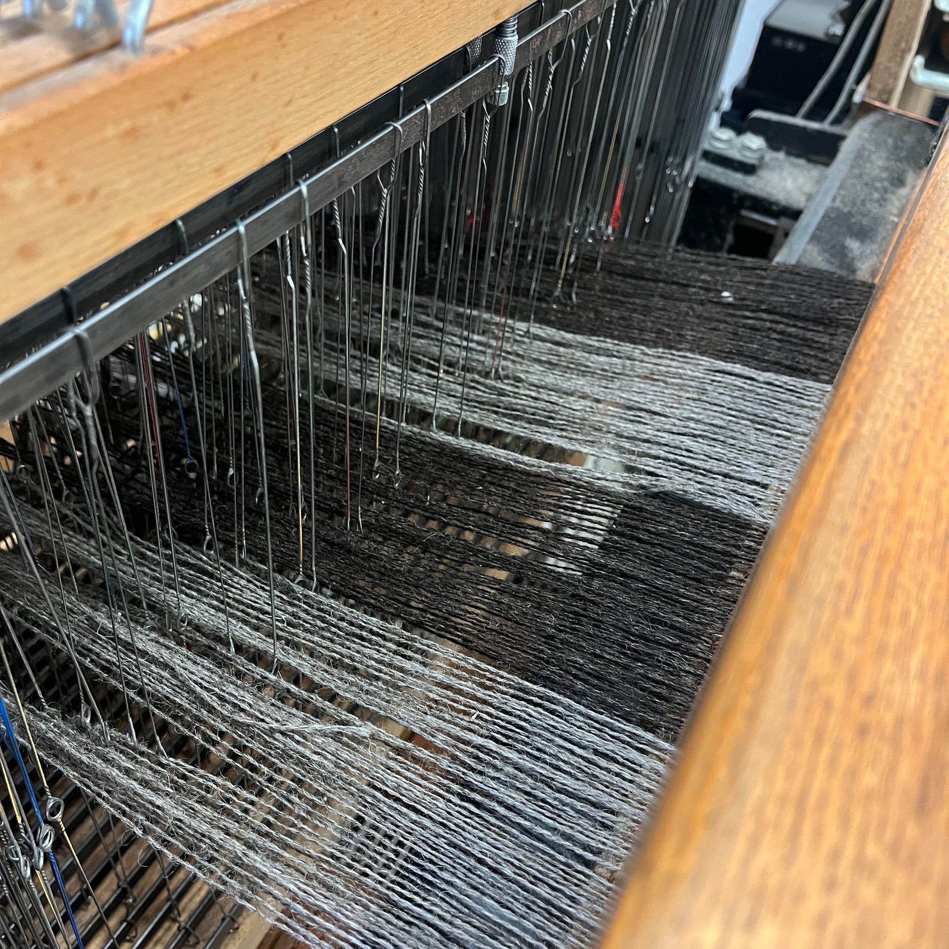 Blanket Scarf, Sheep's Black