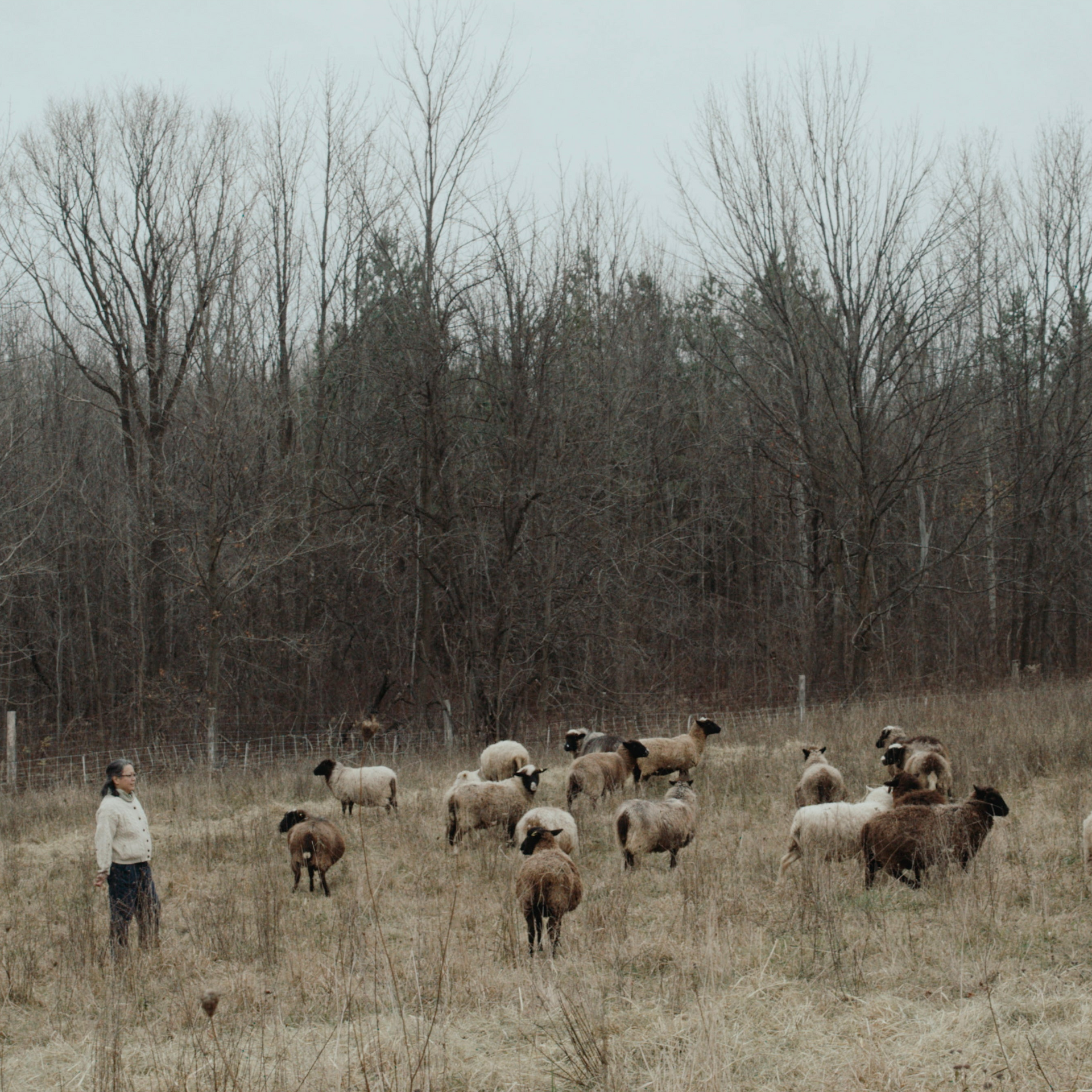 Blanket Scarf, Sheep's Grey